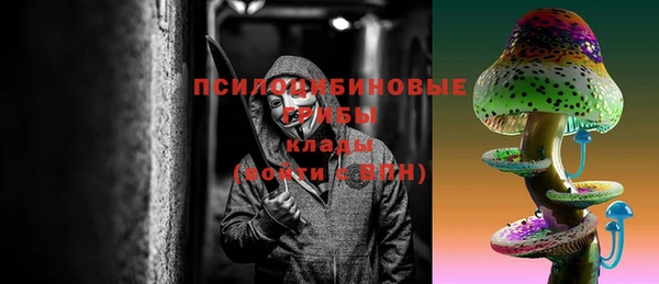 бошки Аркадак