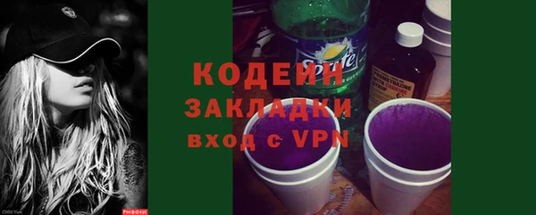 хмурый Арсеньев