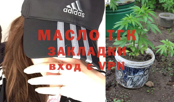 хмурый Арсеньев