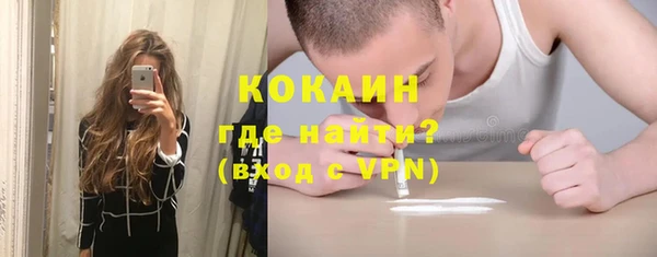 хмурый Арсеньев