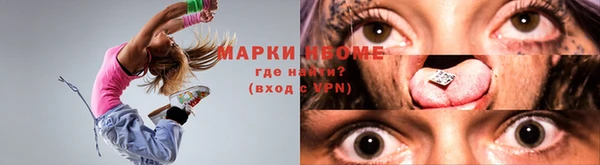 хмурый Арсеньев
