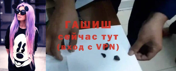 хмурый Арсеньев