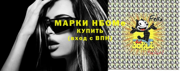 хмурый Арсеньев