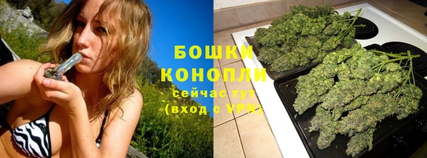 бошки Аркадак