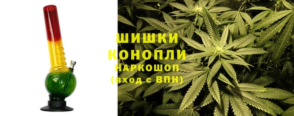 бошки Аркадак