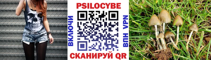 даркнет официальный сайт  Спасск-Дальний  Галлюциногенные грибы прущие грибы 
